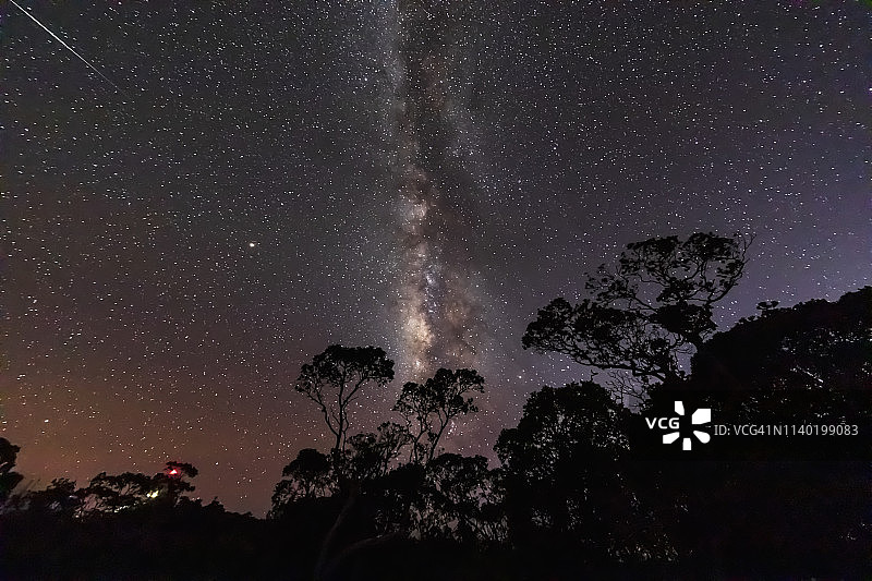 美国夏威夷科基州立公园夜间银河与树木图片素材
