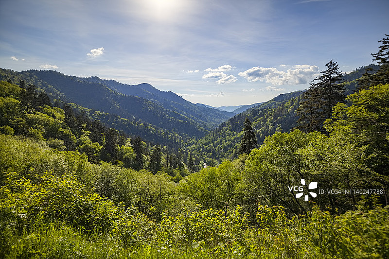 大烟山国家公园图片素材