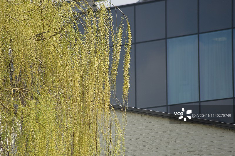 卡姆登的色彩与绿植图片素材