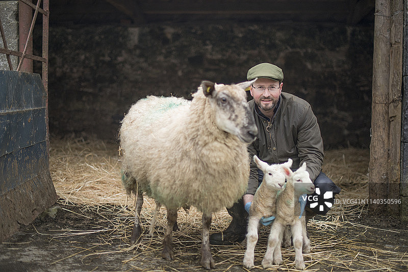 在爱尔兰戈尔韦的产羔季节的农民图片素材