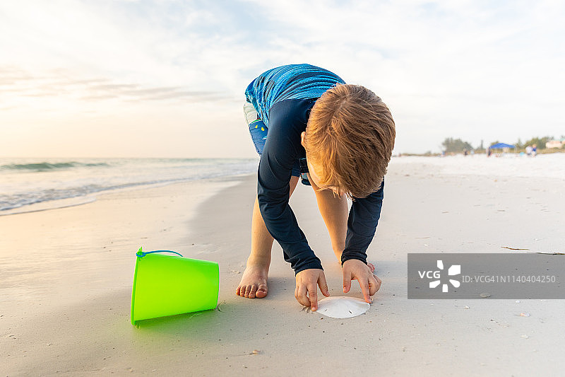 在海滩上小心捡起沙钱的男孩图片素材