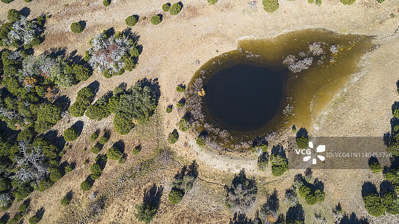 美国德克萨斯州干旱高地杜松林中的小湖图片素材