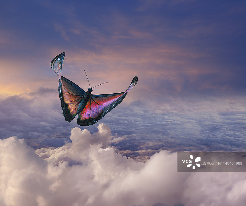 穿梭于云间的蝴蝶图片素材