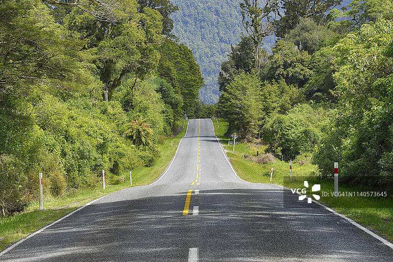 哈斯特通道（6号公路）：穿过雨林的道路图片素材