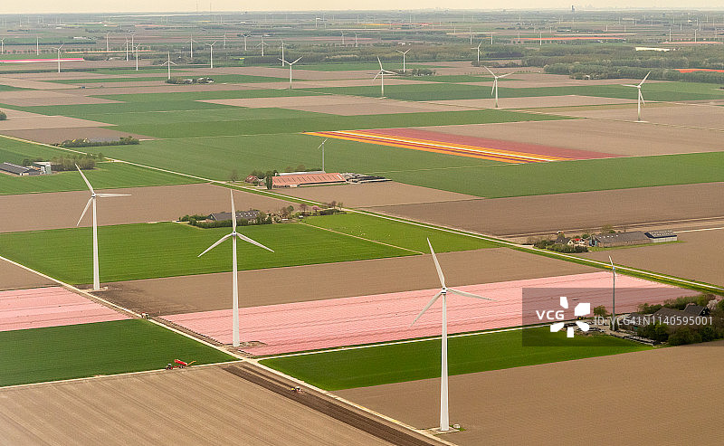 荷兰风力涡轮机和郁金香花田航拍图片素材