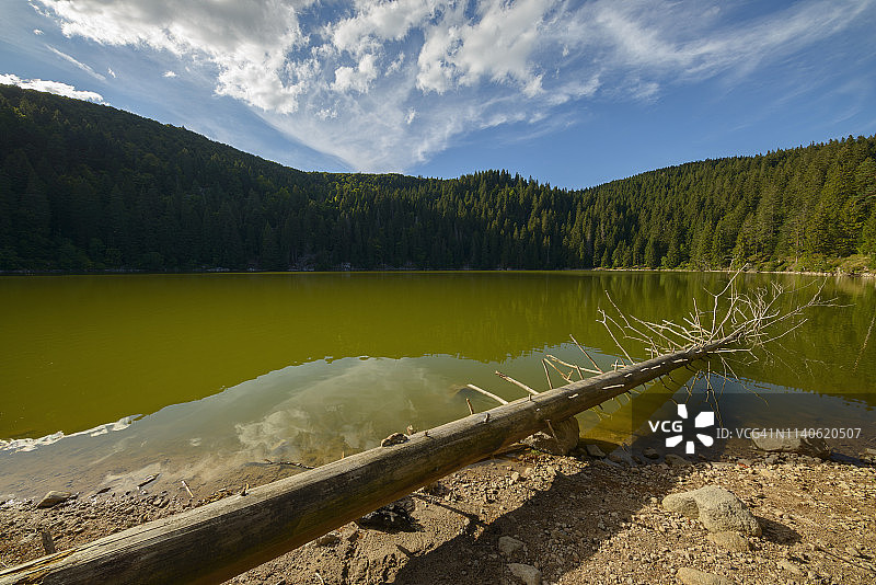 法国上莱茵省苏尔泽伦的韦尔湖夏季风光图片素材