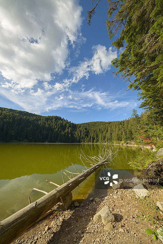 法国上莱茵省苏尔泽伦的韦尔湖夏季风光图片素材