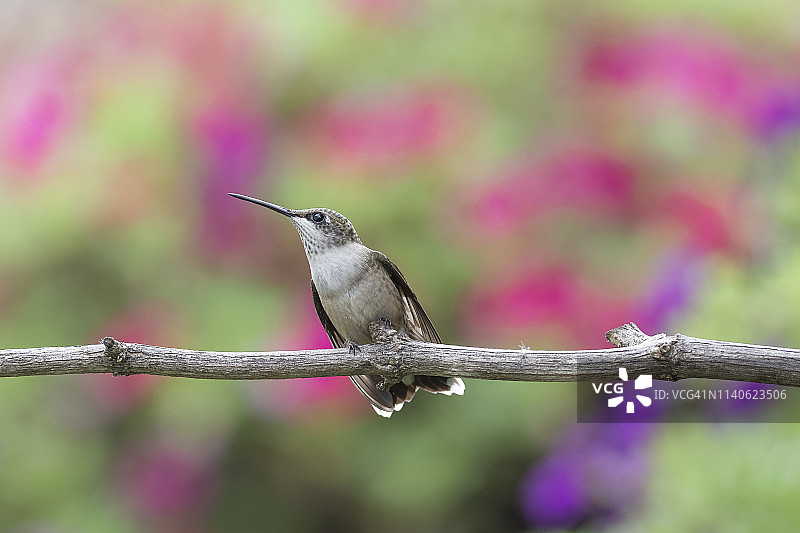 瞄准目标图片素材