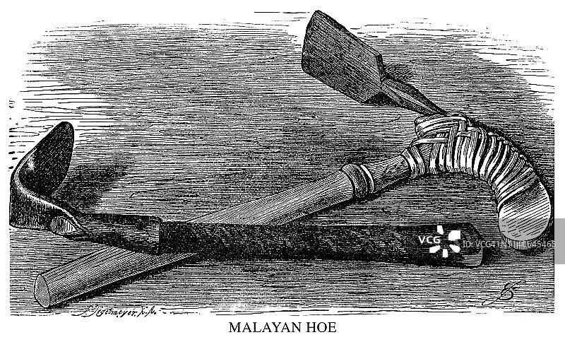 马来亚锄头图片素材