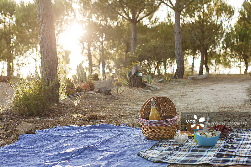 树下的野餐图片素材