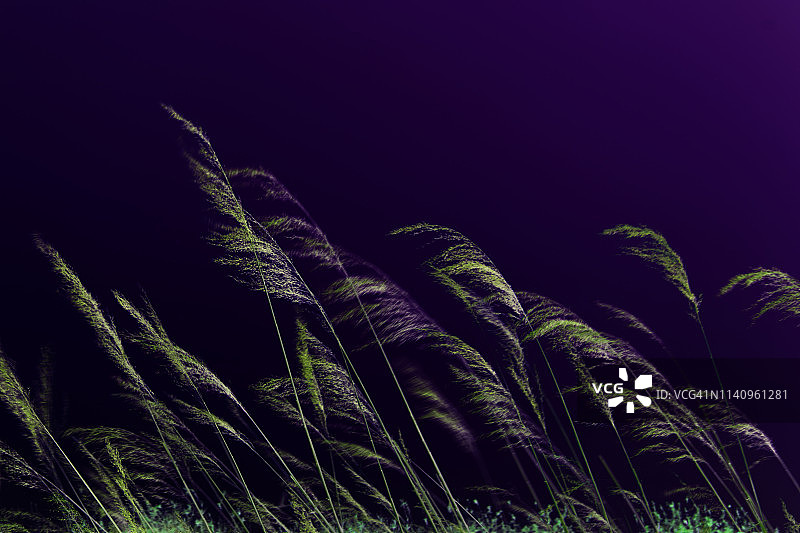 自然背景图片素材