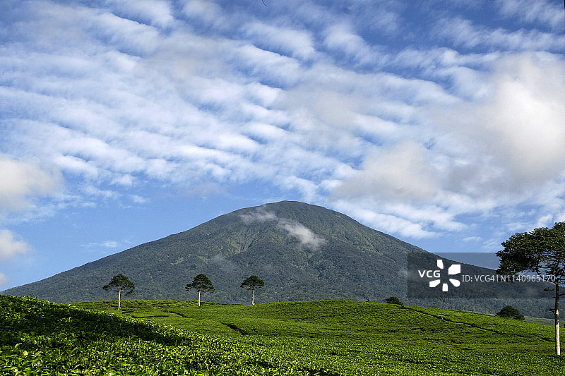 印度尼西亚南苏门答腊岛德姆波山和茶园风光图片素材