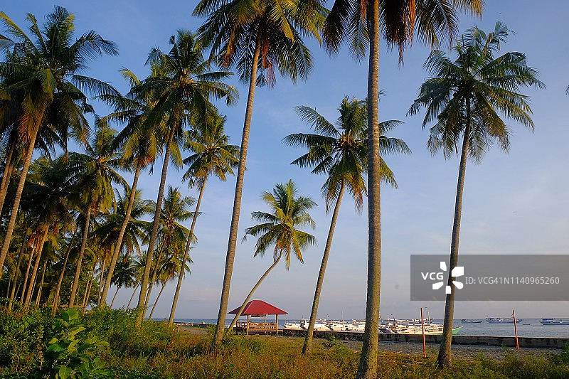 帕桑卡尤海滩，苏拉威西岛，印度尼西亚图片素材