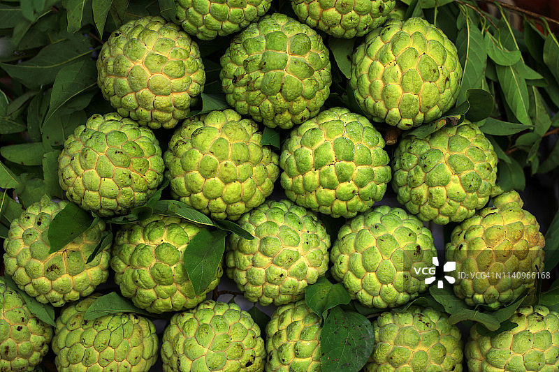 越南番荔枝水果特写图片素材