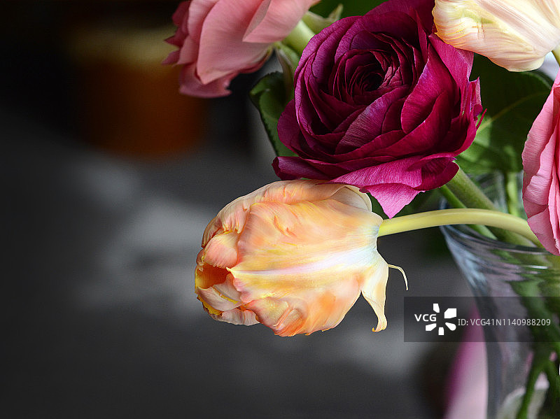 花艺摆件中的伦勃朗郁金特写照片图片素材