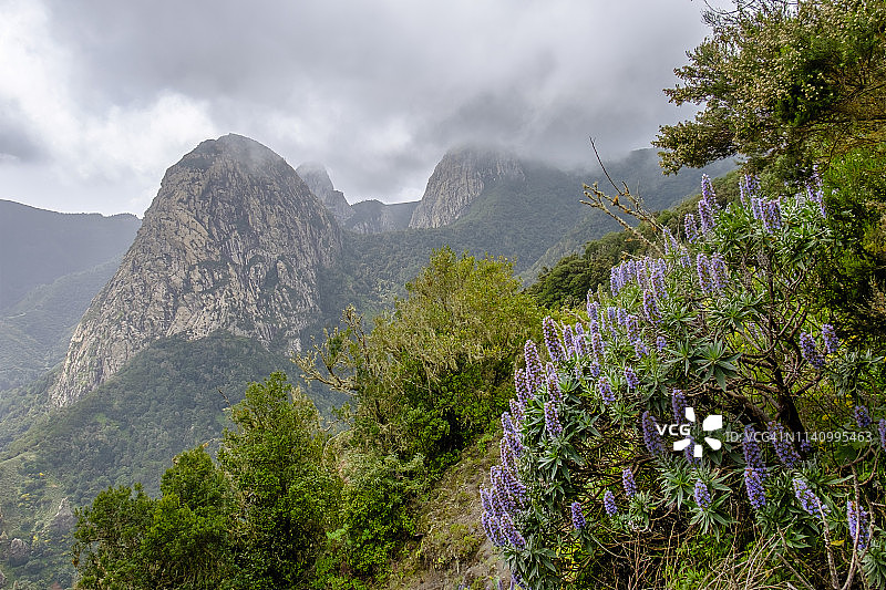 戈梅拉岛加拉霍奈国家公园图片素材