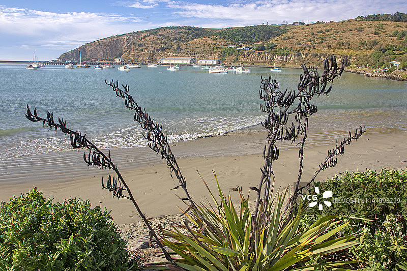 奥马鲁港图片素材