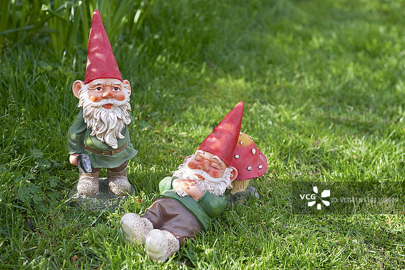 两个花园侏儒图片素材