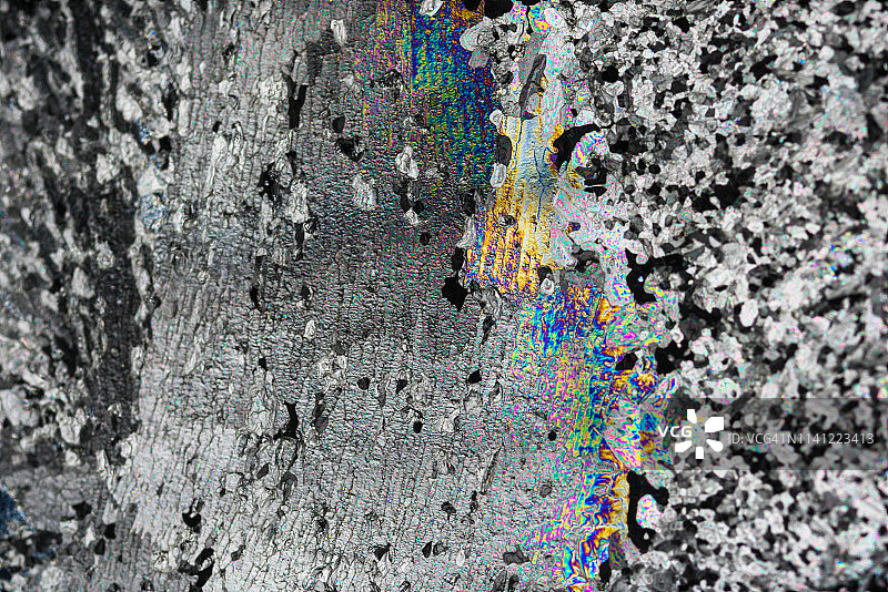 偏振光下的硝酸银晶体图片素材