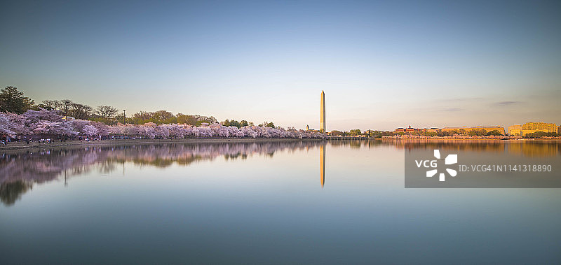 春季的华盛顿特区图片素材