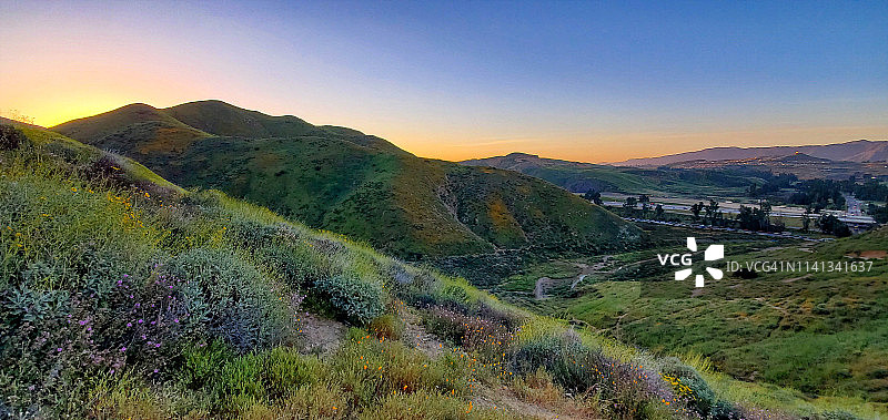 沃克峡谷罂粟花田的清晨徒步图片素材