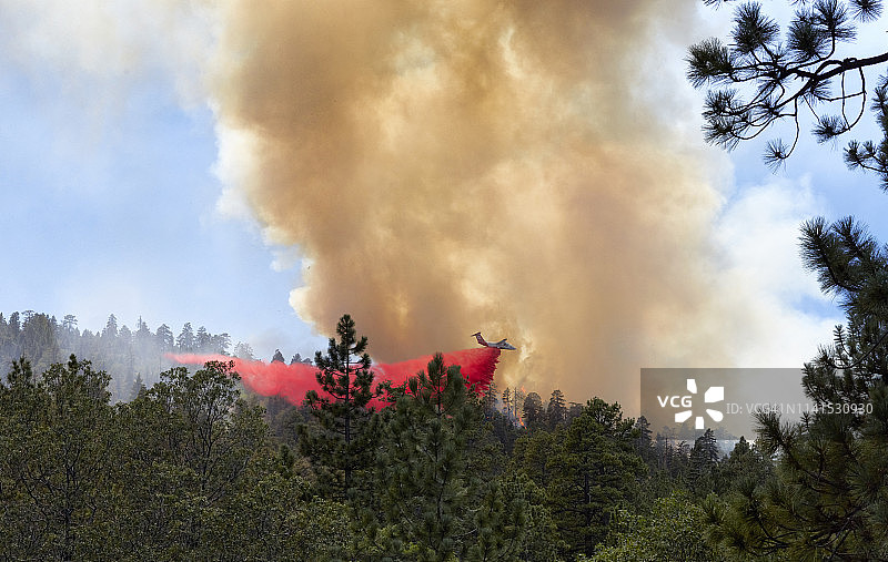 飞机在森林火灾中空投图片素材