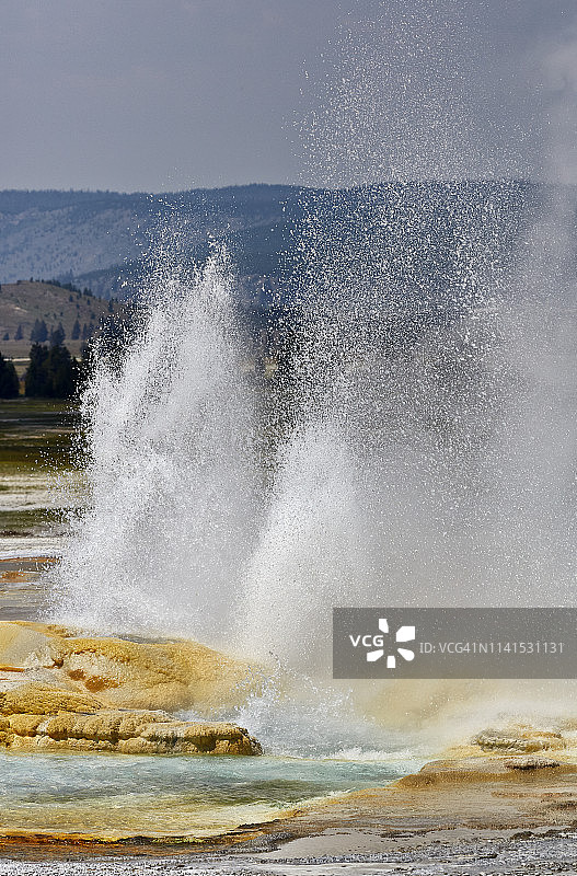 黄石公园中喷发的间歇泉图片素材