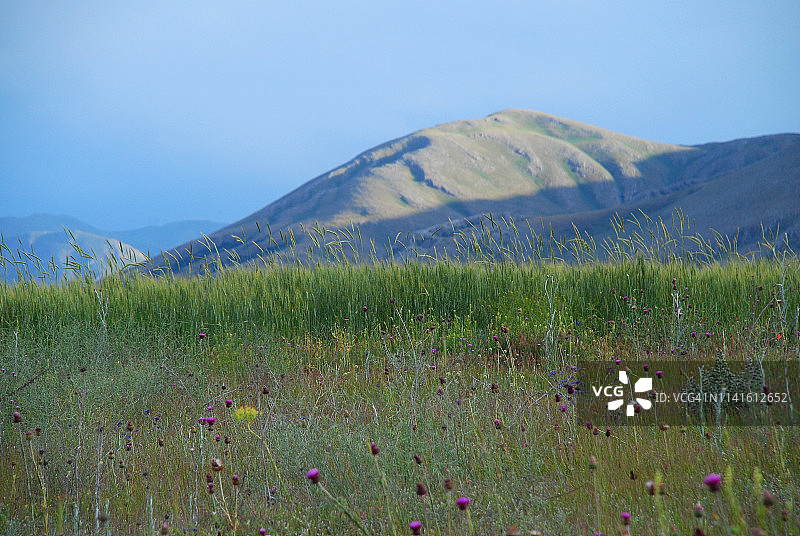 山脉和绿色植物图片素材