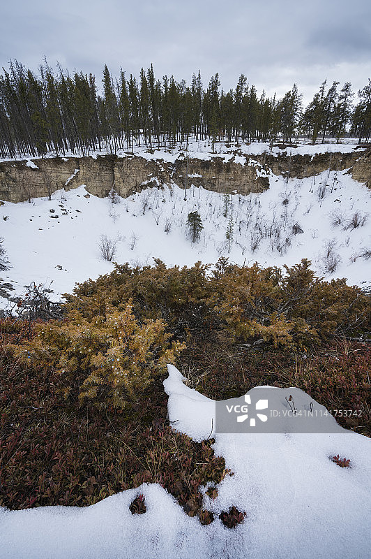 加拿大西北地区伍德布法罗国家公园的“安格斯”落水洞图片素材
