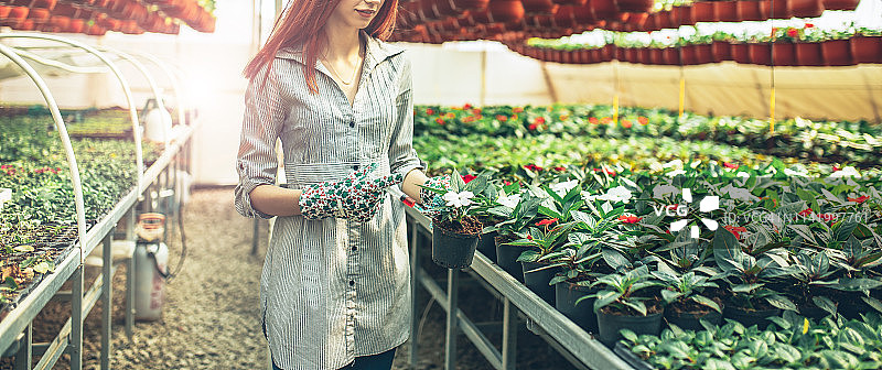 园艺业务图片素材