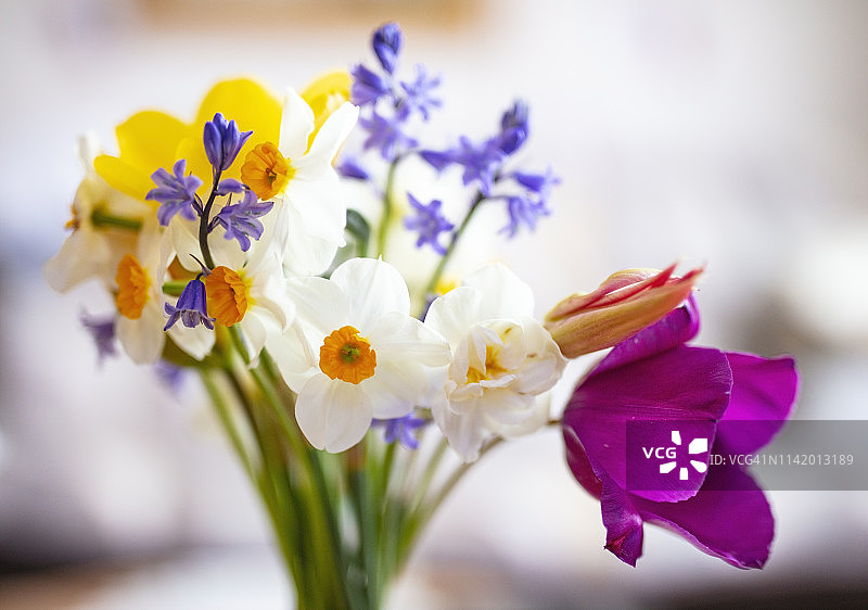 春季花束图片素材