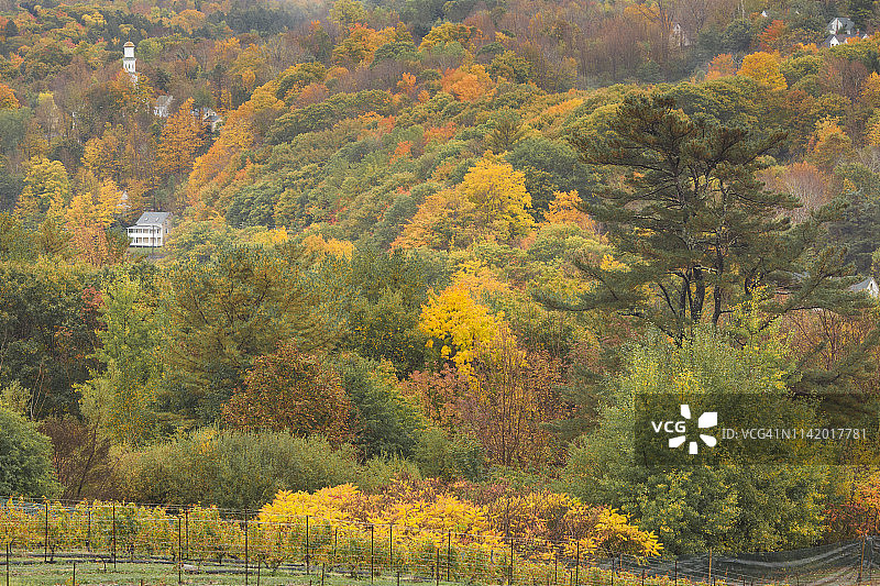 加拿大新斯科舍省贝尔河秋季山坡景观图片素材