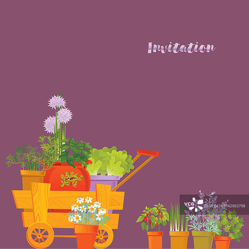 夏季邀请函，草本背景图片素材