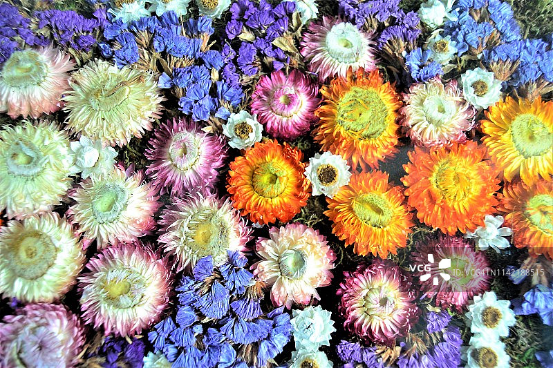 干花背景图片素材