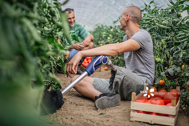 男人在蔬菜农场休息图片素材