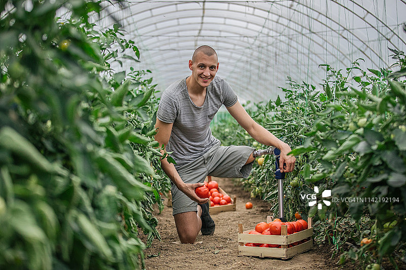 独自在农场工作的残疾人图片素材
