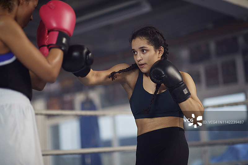 两位年轻女子在拳击台上搏斗图片素材