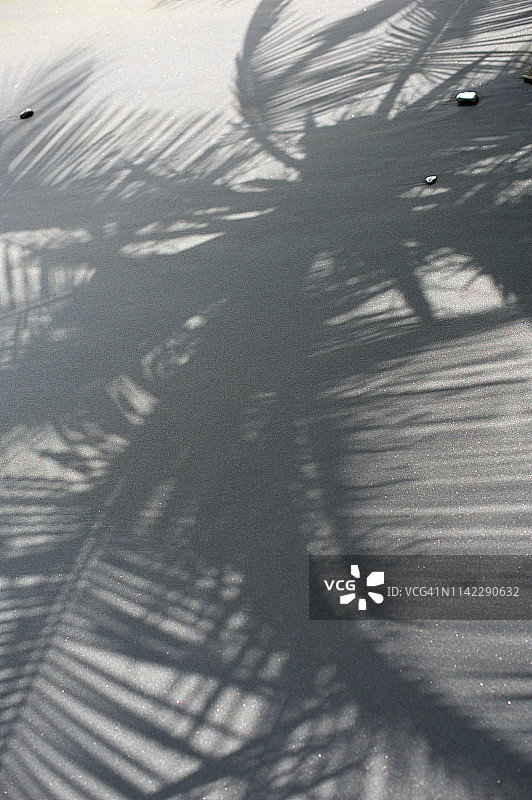 棕榈叶阴影哥斯达黎加图片素材