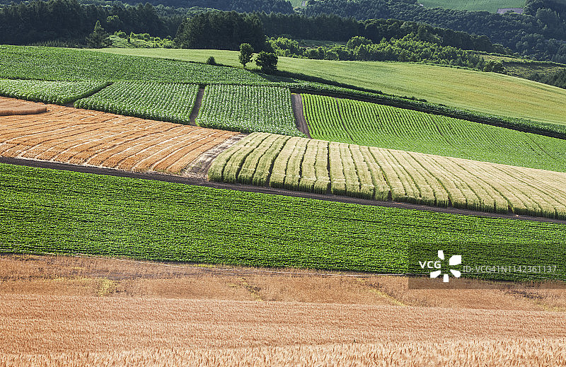 日本北海道美瑛的夏日风光图片素材