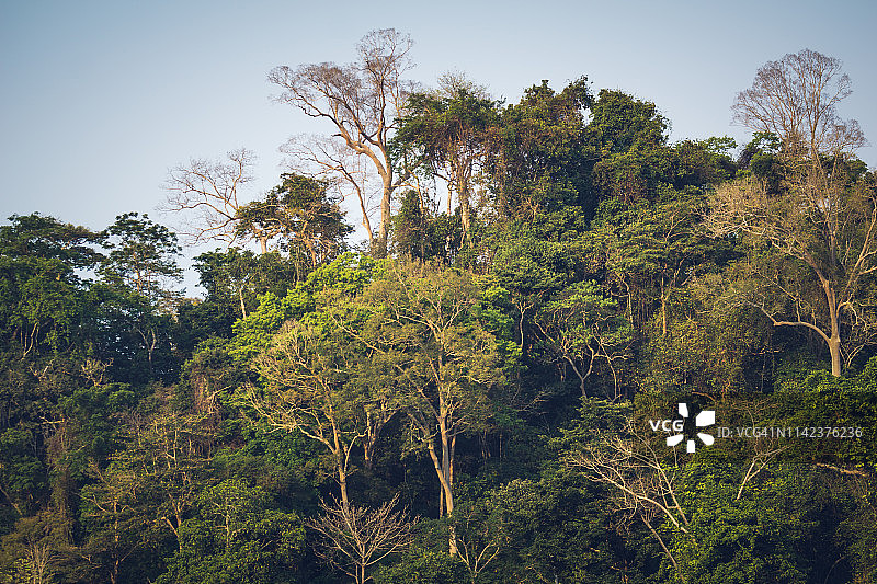 马来西亚国家公园河流风光图片素材