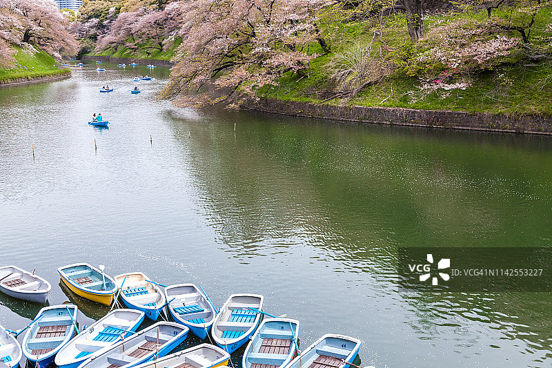 春季日本东京千代田区千鸟渊，河上游船与樱花图片素材