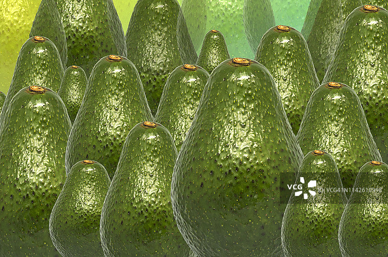 鳄梨的特写摄影图片素材