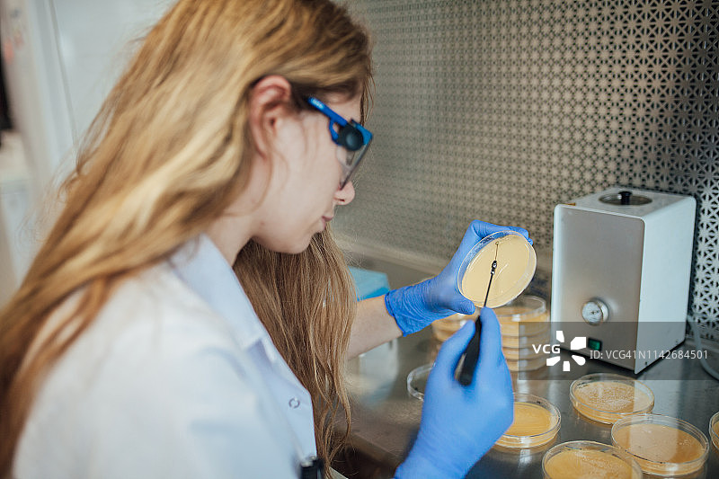 在实验室工作的生物学研究科学家图片素材