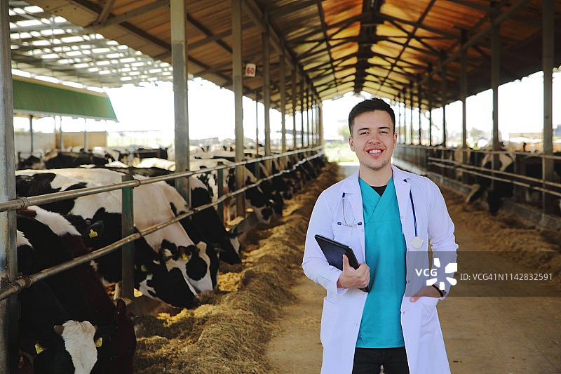 年轻的兽医和数字平板电脑图片素材