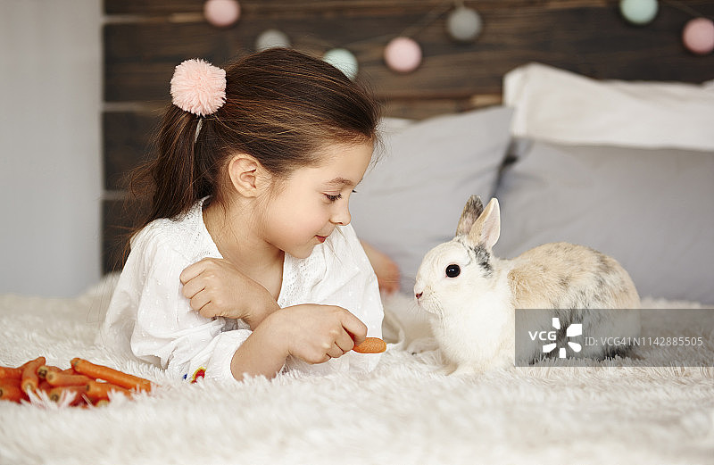 女孩躺在床上喂兔子，波兰德比察图片素材