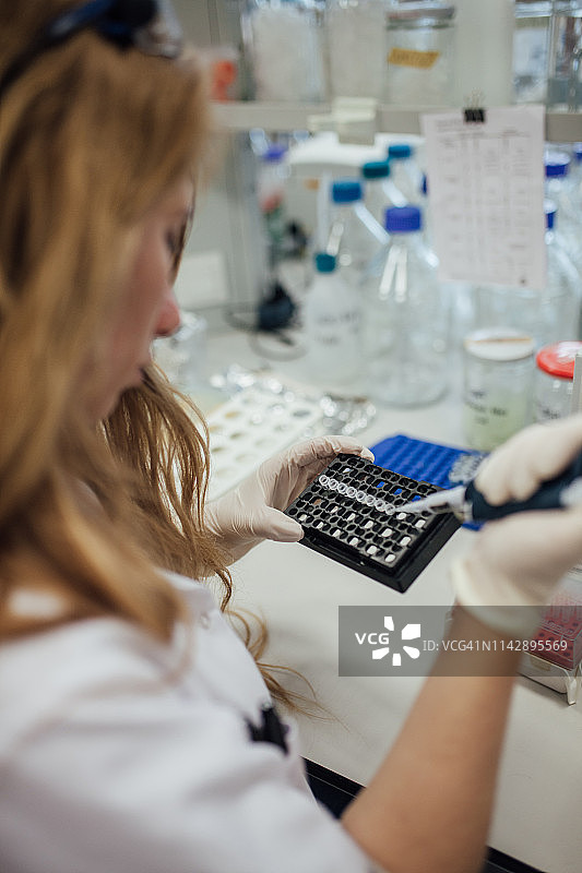 在化学实验室进行研究的科学家图片素材