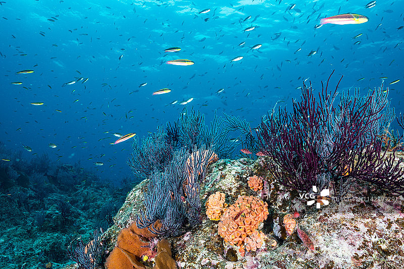 拉巴斯礁石景观图片素材