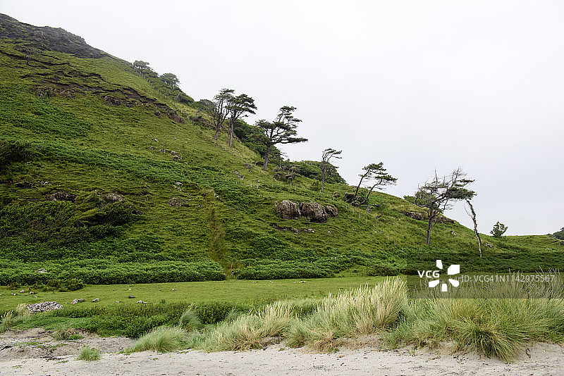 卡尔加里马尔岛的乡村风光，苏格兰图片素材