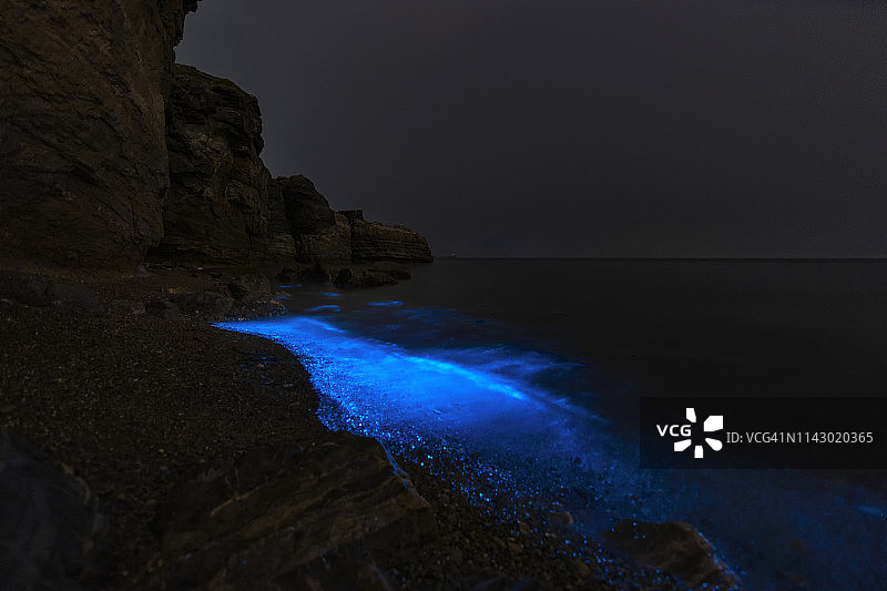 黄海荧光海滩图片素材