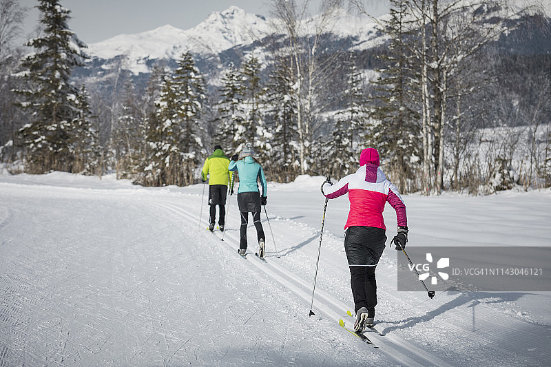 冬季越野滑雪团体图片素材